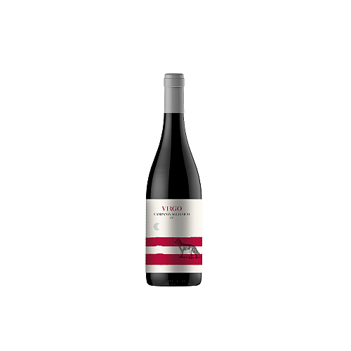 VILLA RAIANO VIRGO AGLIANICO IGT 750 ML