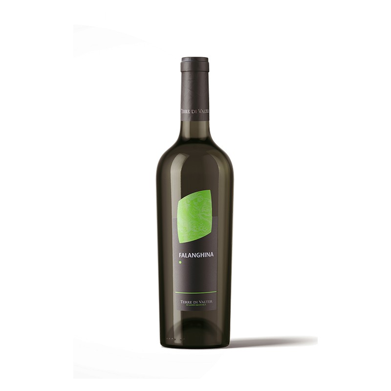 VALTER FALANGHINA IGP 750 ML