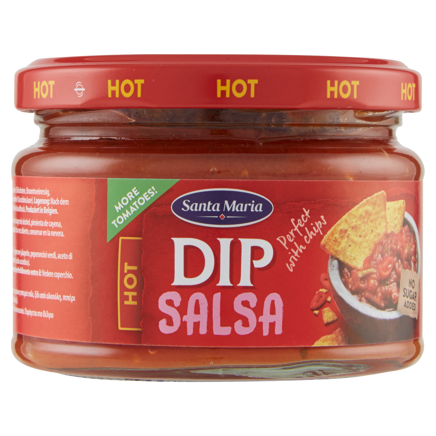 SANTA MARIA DIP SALSA HOT 250 GR